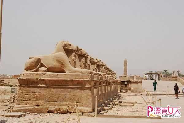  去埃及旅游哪些景点一定要去 埃及旅游特色景点