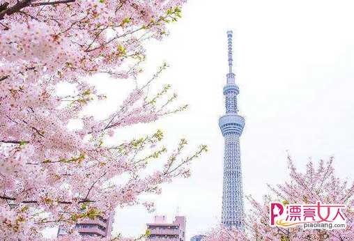  日本旅游签证要多久 日本旅游签证办理要求