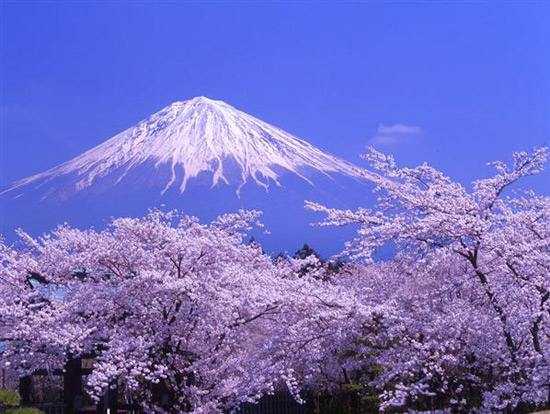  四月份来日本旅游 深受外国游客喜爱的十大必玩景点