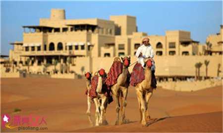  到阿拉伯旅行 在沙漠宫殿赏日落