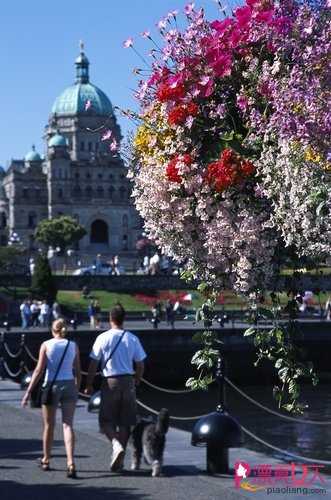  被鲜花“闹醒”的春天 手绘加拿大赏花地图
