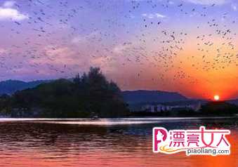  惠州旅游景点推荐 惠州旅游最值得去的地方