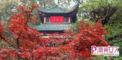  国内11月旅游景点推荐 中国适合十一月旅游的地方