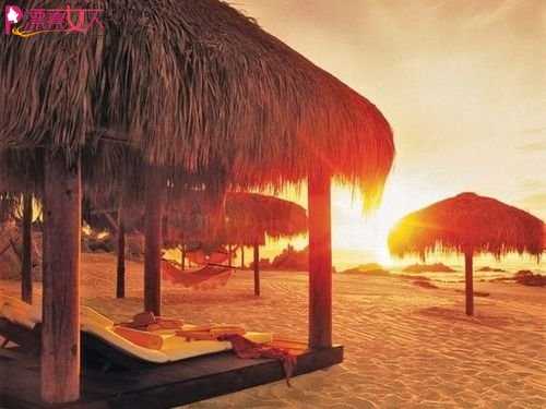  全球6佳海滨酒店 准备享受椰林飘香的夏天