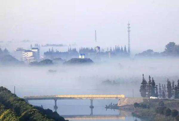  上海市的晨雾 惊艳到了吗？
