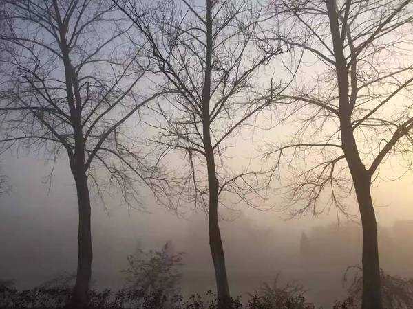  上海市的晨雾 惊艳到了吗？