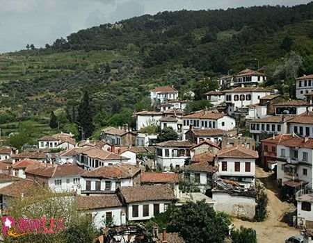 土尔其希林杰村：山沟里的橄榄油小镇