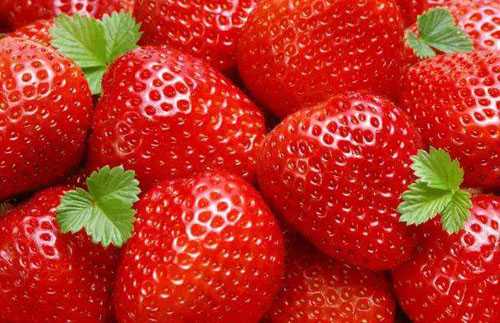  草莓营养价值有哪些？草莓吃多会有哪些危害？