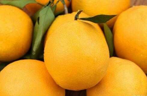  橙子和橘子有什么区别 常吃橙子的好处