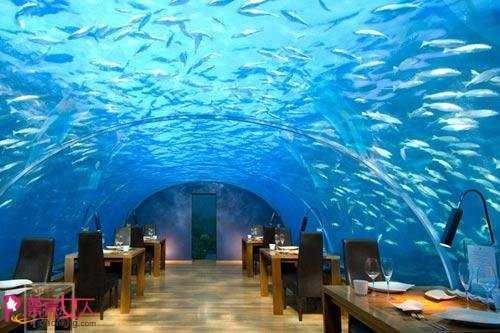  趣味餐厅 与鲨鱼共享大餐