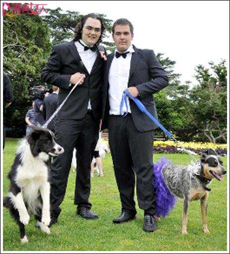  澳大利亚男子与宠物狗结婚