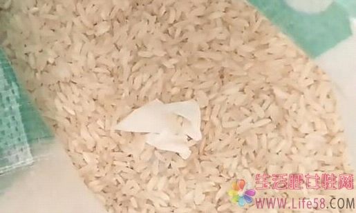  家里的大米容易长米虫怎么办？放点它，大米放一年都新鲜