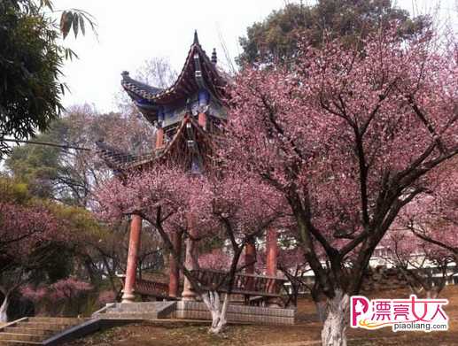  武汉适合春夏季节旅游好去处 武汉周边旅游景点